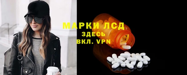 амф Новодвинск