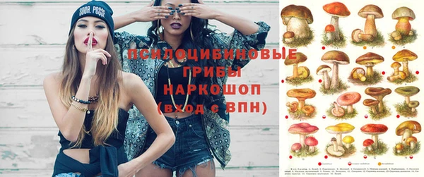 метадон Верея