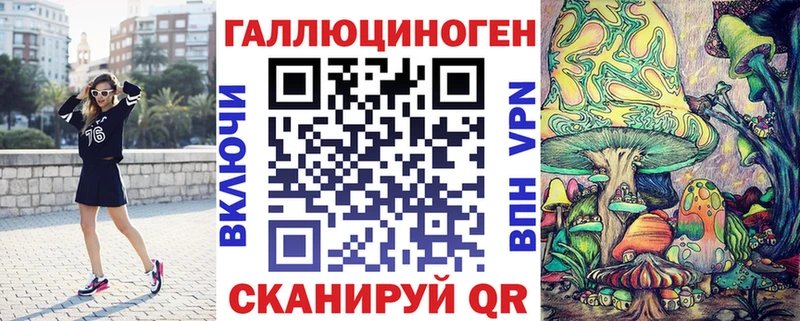 блэк спрут   Губкинский  Галлюциногенные грибы Psilocybine cubensis 